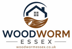 woodworm essex